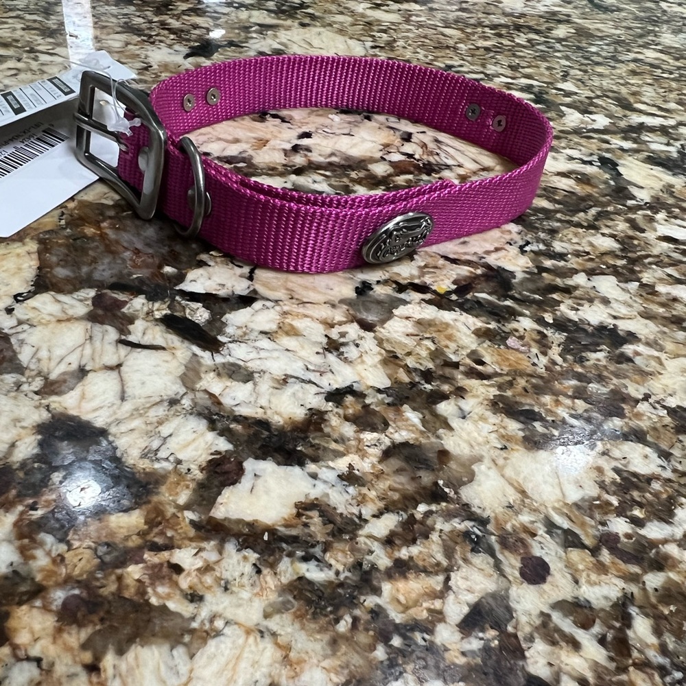 Florida Gator Pink Dog Collar